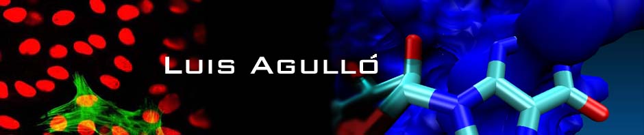 Luis Agulló