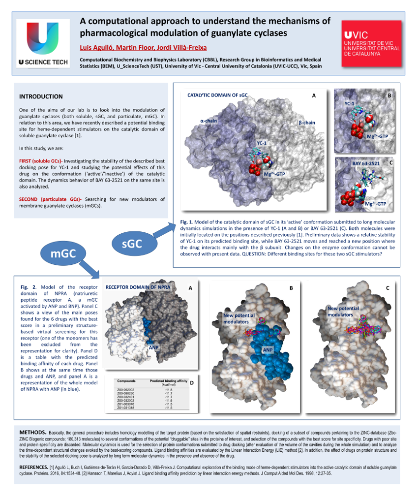 Poster UVIC cGMP2017